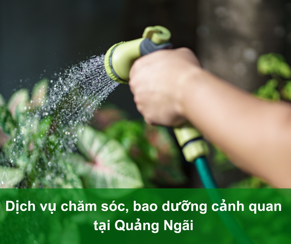 chăm sóc cảnh quan Quảng Ngãi Chăm sóc cảnh quan Quảng Ngăi
