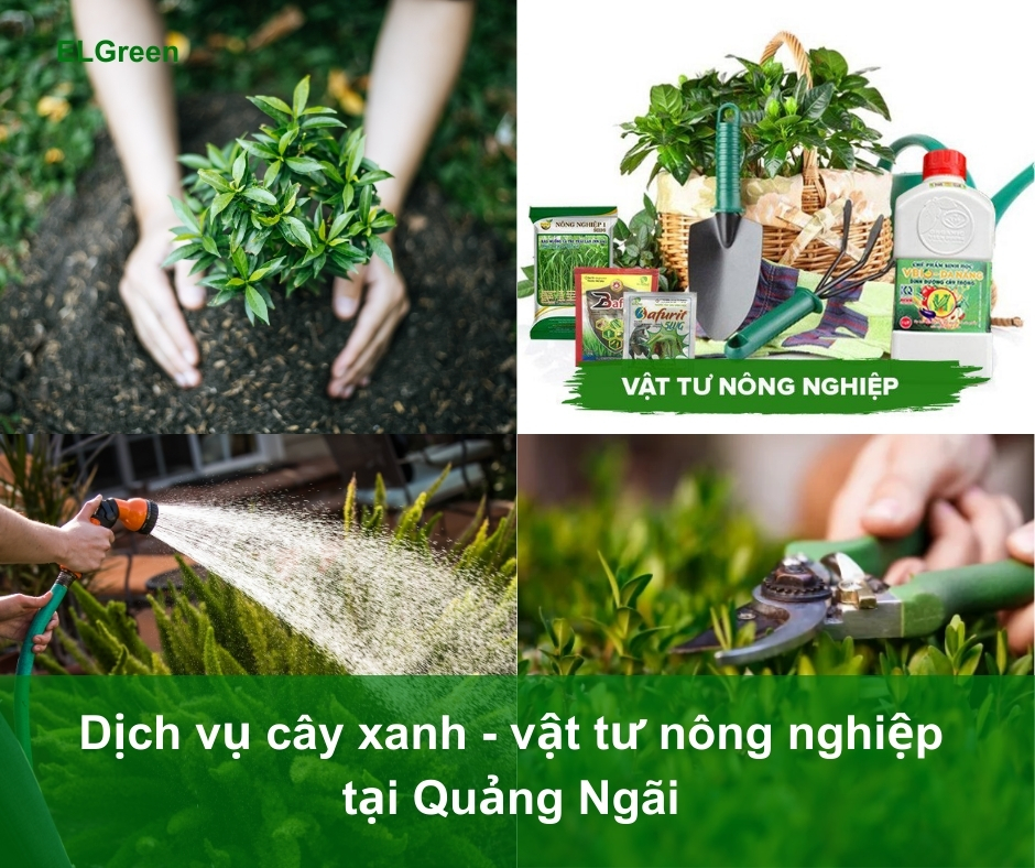 Dịch vụ cây xanh Quảng Ngãi